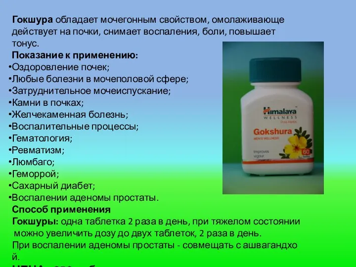 Гокшура обладает мочегонным свойством, омолаживающе действует на почки, снимает воспаления,