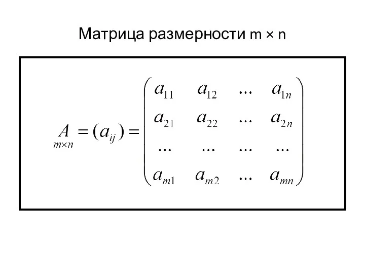 Матрица размерности m × n