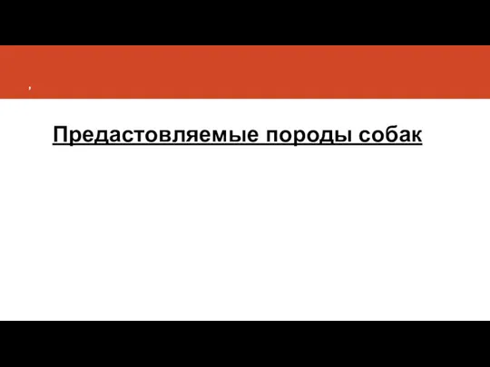 , Предастовляемые породы собак