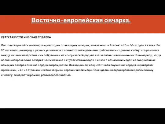 Восточно-европейская овчарка. КРАТКАЯ ИСТОРИЧЕСКАЯ СПРАВКА Восточноевропейская овчарка происходит от немецких