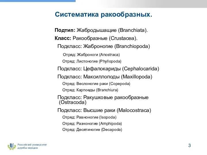 Систематика ракообразных. Подтип: Жабродышащие (Branchiata). Класс: Ракообразные (Crustacea). Подкласс: Жаброногие (Branchiopoda) Отряд: Жаброноги