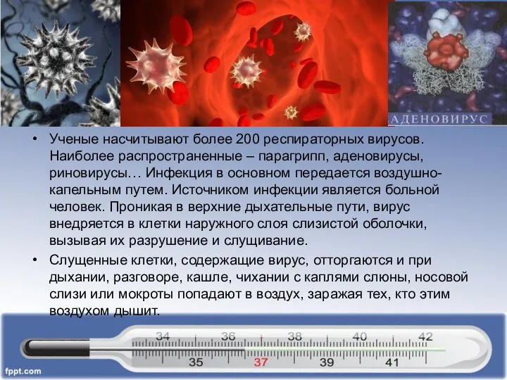 Ученые насчитывают более 200 респираторных вирусов. Наиболее распространенные – парагрипп,