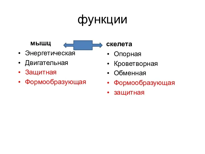 функции мышц Энергетическая Двигательная Защитная Формообразующая скелета Опорная Кроветворная Обменная Формообразующая защитная