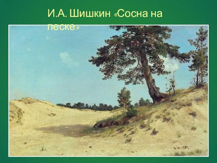 И.А. Шишкин «Сосна на песке»