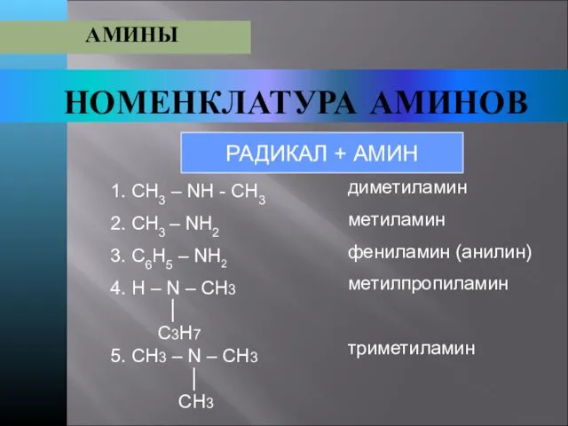 НОМЕНКЛАТУРА АМИНОВ АМИНЫ РАДИКАЛ + АМИН 1. СН3 – NН