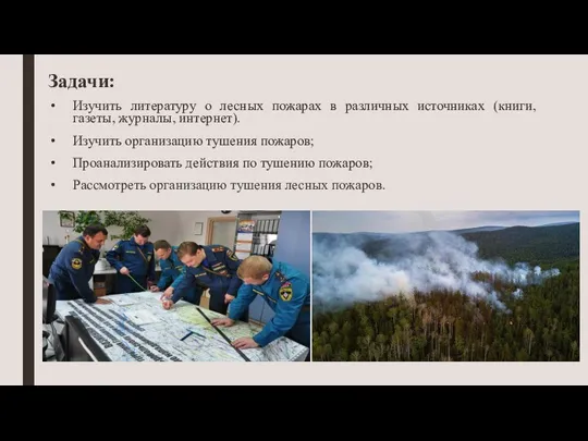 Задачи: Изучить литературу о лесных пожарах в различных источниках (книги, газеты, журналы, интернет).