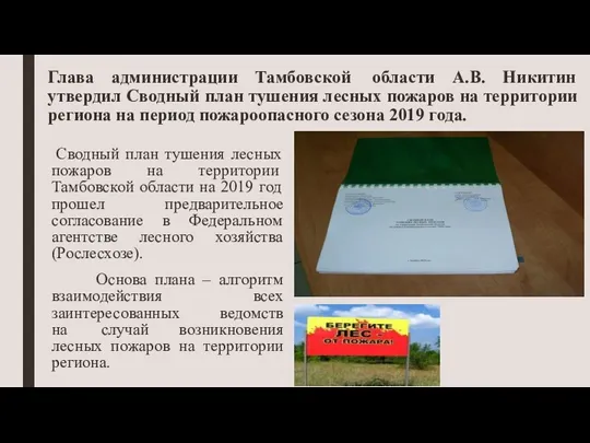 Глава администрации Тамбовской области А.В. Никитин утвердил Сводный план тушения лесных пожаров на