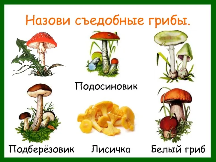 Назови съедобные грибы.