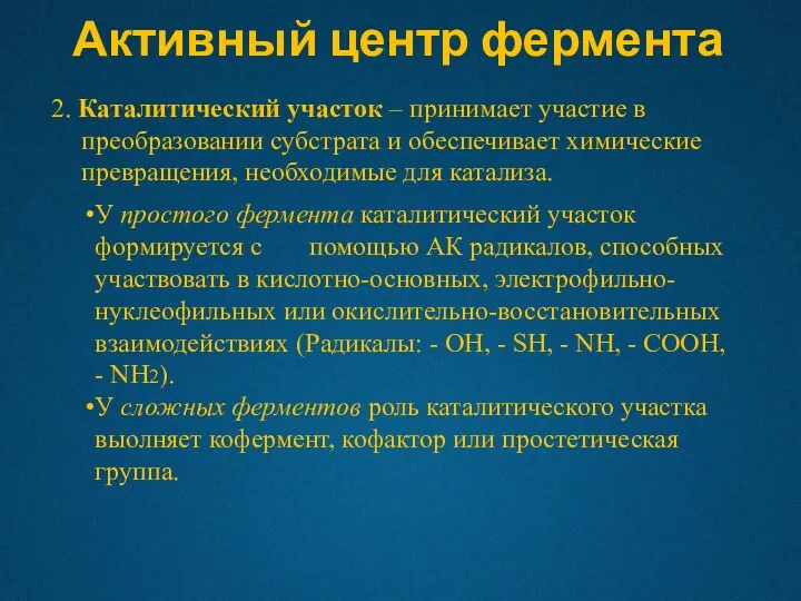 Активный центр фермента 2. Каталитический участок – принимает участие в