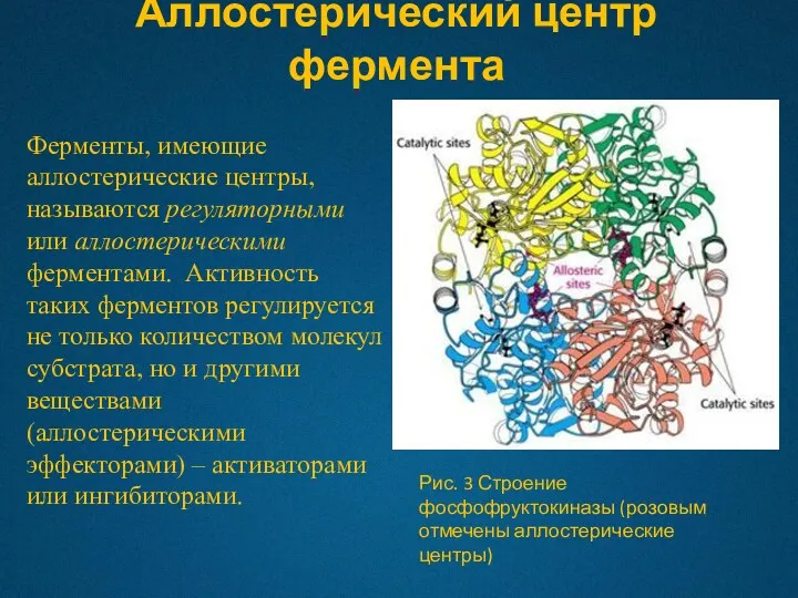 Аллостерический центр фермента Рис. 3 Строение фосфофруктокиназы (розовым отмечены аллостерические