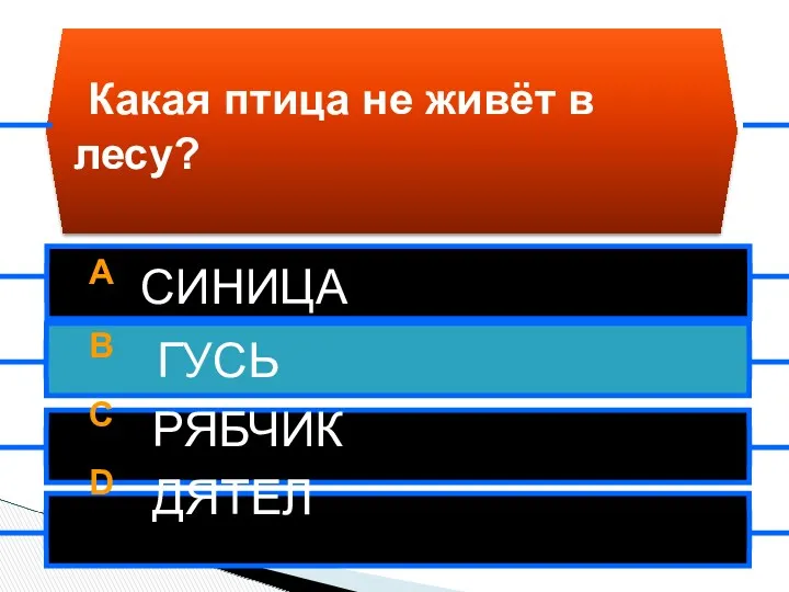 A СИНИЦА B ГУСЬ C РЯБЧИК D ДЯТЕЛ Какая птица не живёт в лесу?