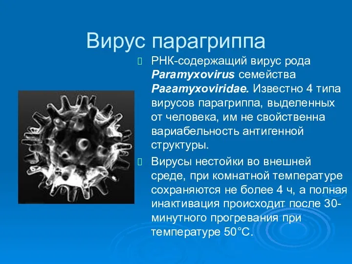 Вирус парагриппа РНК-содержащий вирус рода Paramyxovirus семейства Рагатуxoviridae. Известно 4