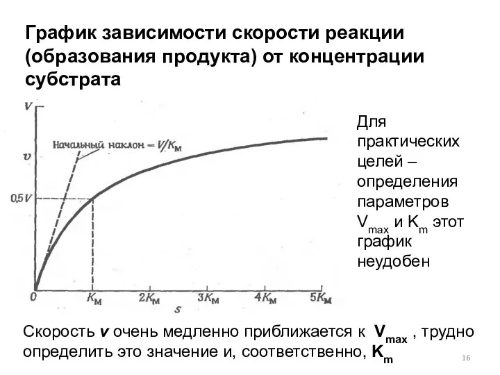 График зависимости скорости реакции (образования продукта) от концентрации субстрата Для практических целей –