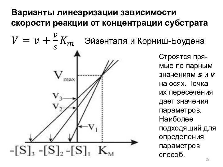 Варианты линеаризации зависимости скорости реакции от концентрации субстрата Строятся пря-мые