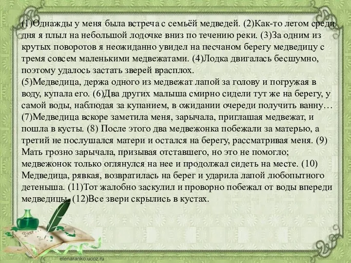 (1)Однажды у меня была встреча с семьёй медведей. (2)Как-то летом