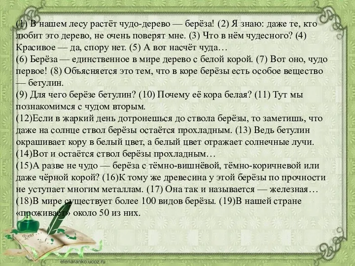 (1) В нашем лесу растёт чудо-дерево — берёза! (2) Я