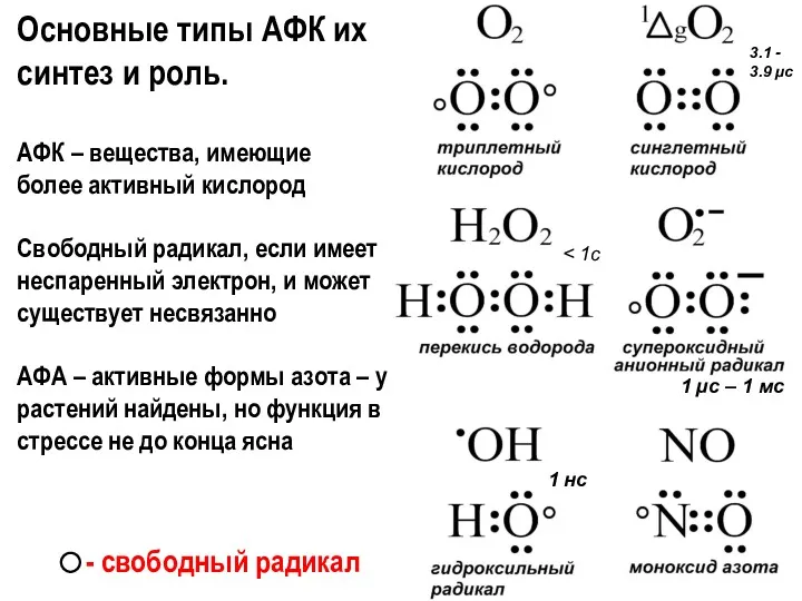 - свободный радикал Основные типы АФК их синтез и роль.