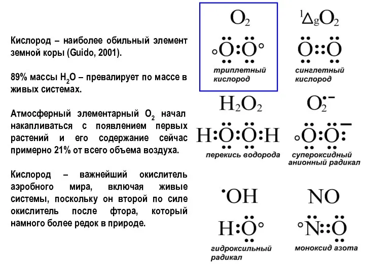 Кислород – наиболее обильный элемент земной коры (Guido, 2001). 89% массы H2O –