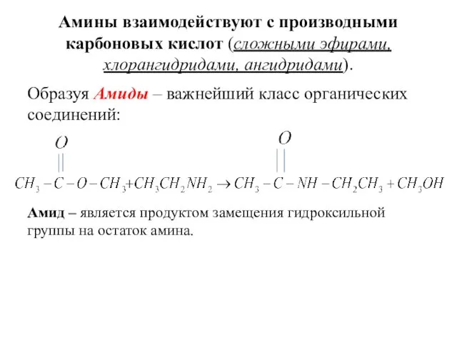 Амины взаимодействуют с производными карбоновых кислот (сложными эфирами, хлорангидридами, ангидридами).