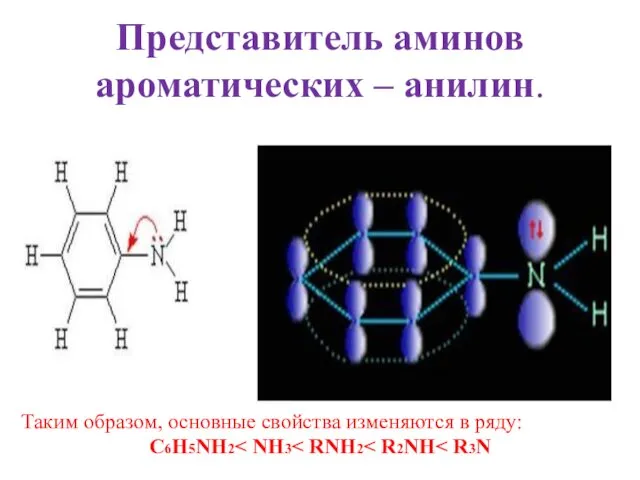 Представитель аминов ароматических – анилин. Таким образом, основные свойства изменяются в ряду: C6H5NH2