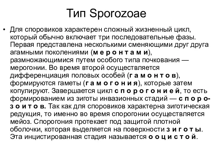 Тип Sporozoaе Для споровиков характерен сложный жизненный цикл, который обычно включает три последовательные