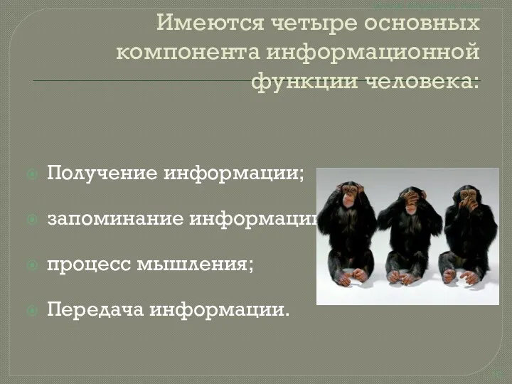 Имеются четыре основных компонента информационной функции человека: Получение информации; запоминание информации; процесс мышления; Передача информации.