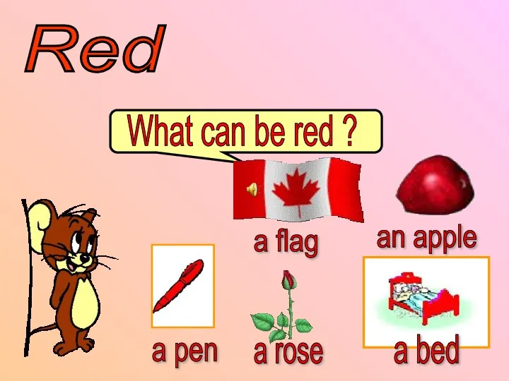 What can be red ? Red a flag an apple a pen a rose a bed