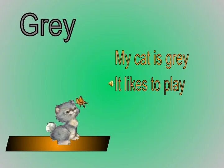 Grey My cat is grey It likes to play