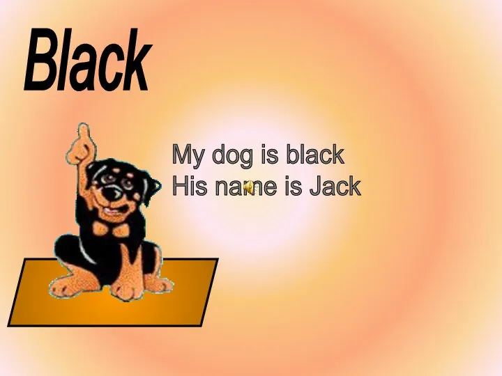 Black My dog is black His name is Jack