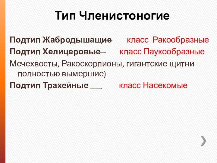 Тип Членистоногие Подтип Жабродышащие класс Ракообразные Подтип Хелицеровые класс Паукообразные