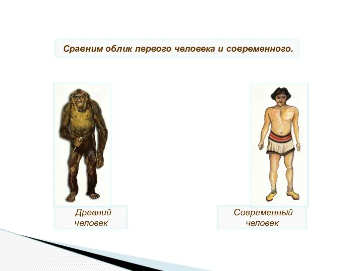 Древний человек Современный человек Сравним облик первого человека и современного.