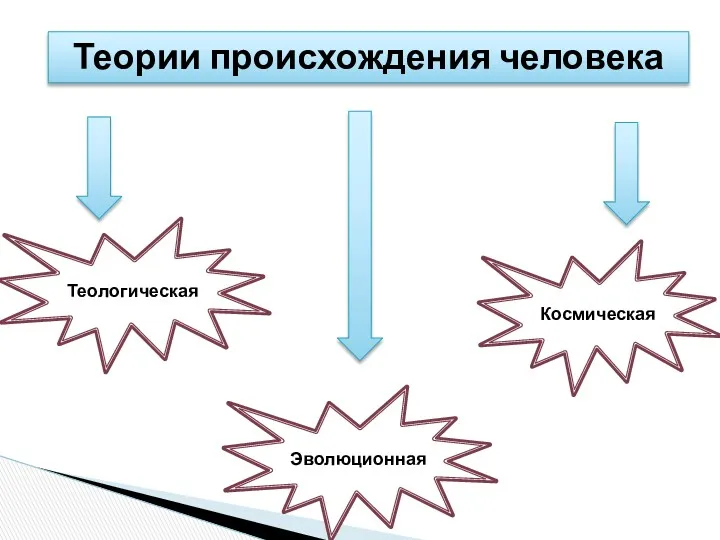 Теории происхождения человека Теологическая Эволюционная Космическая