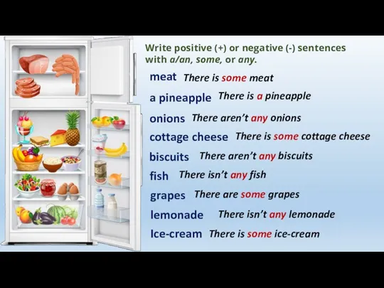Write positive (+) or negative (-) sentences with a/an, some,