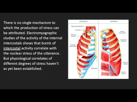 There is no single mechanism to which the production of