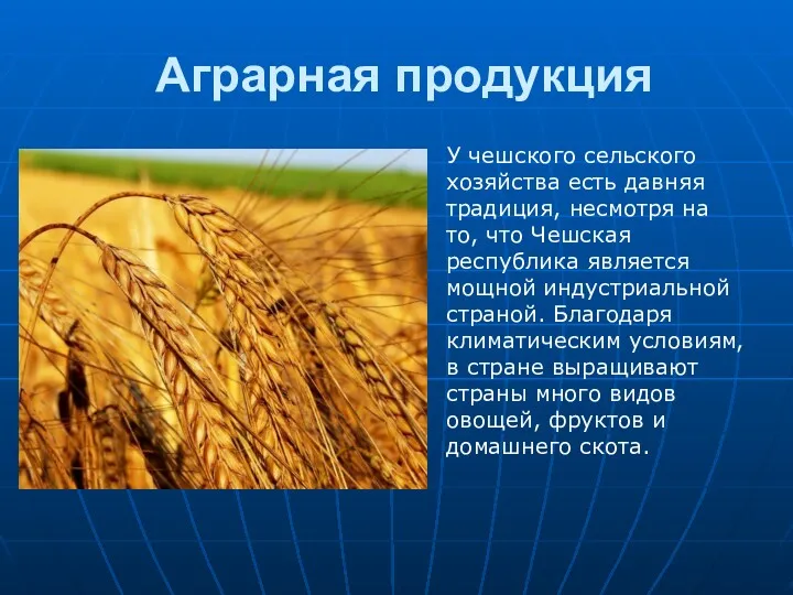 Аграрная продукция У чешского сельского хозяйства есть давняя традиция, несмотря