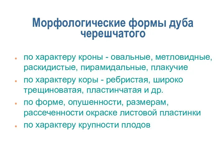 Морфологические формы дуба черешчатого по характеру кроны - овальные, метловидные, раскидистые, пирамидальные, плакучие