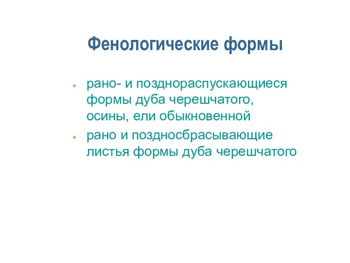 Фенологические формы рано- и позднораспускающиеся формы дуба черешчатого, осины, ели обыкновенной рано и