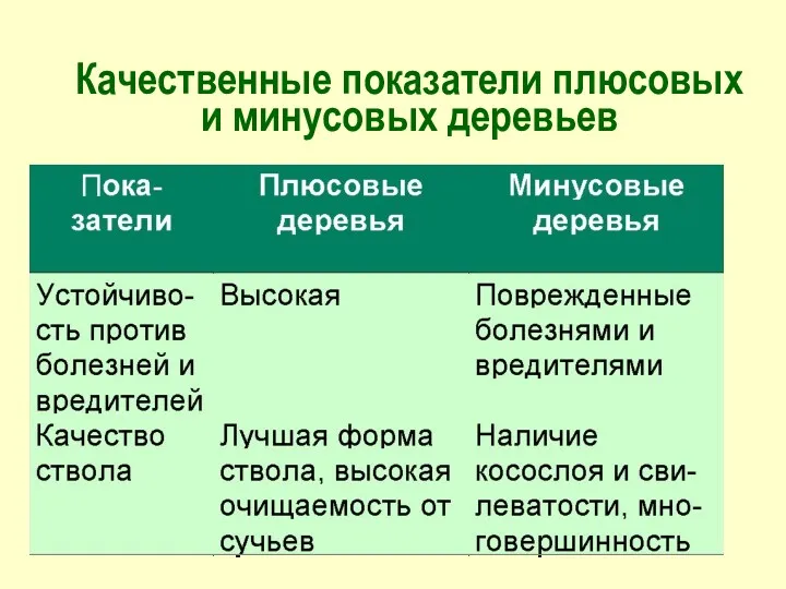 Качественные показатели плюсовых и минусовых деревьев