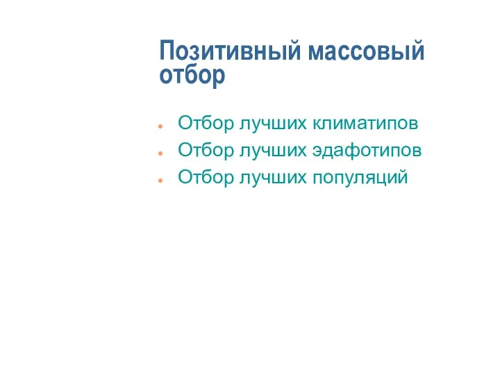 Позитивный массовый отбор Отбор лучших климатипов Отбор лучших эдафотипов Отбор лучших популяций