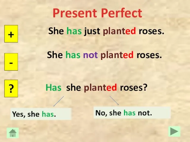 Present Perfect She has just planted roses. + - ? She has not