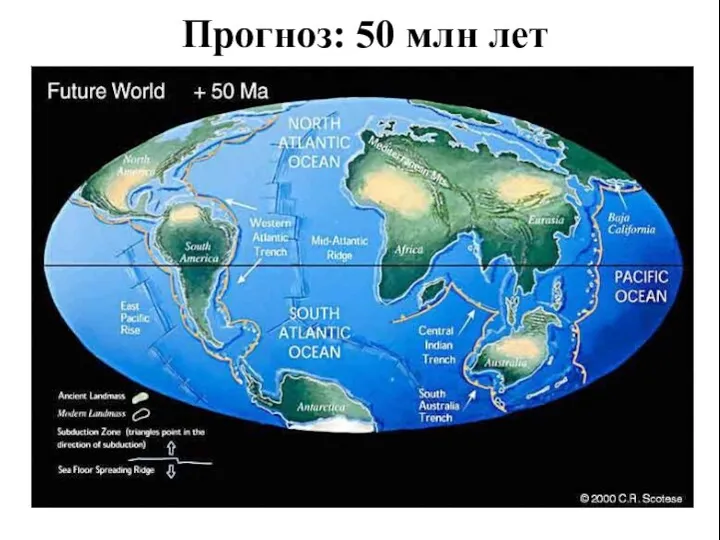 Прогноз: 50 млн лет