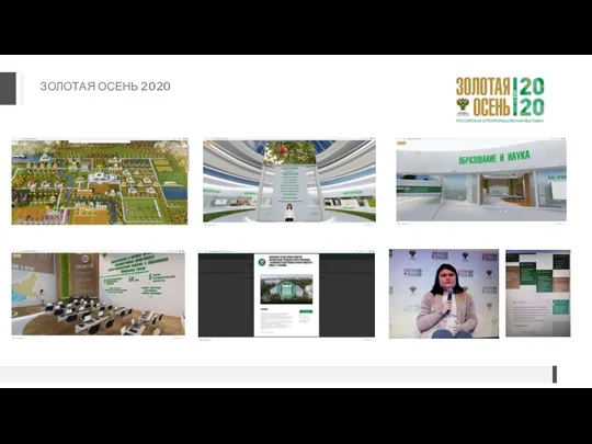 ЗОЛОТАЯ ОСЕНЬ 2020