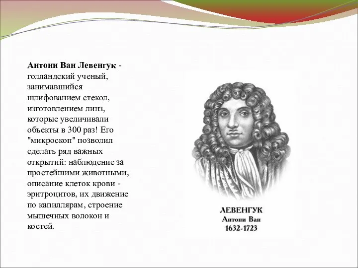 Антони Ван Левенгук - голландский ученый, занимавшийся шлифованием стекол, изготовлением