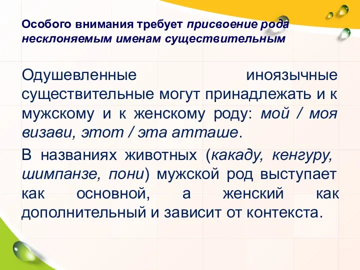 Особого внимания требует присвоение рода несклоняемым именам существительным Одушевленные иноязычные существительные могут принадлежать