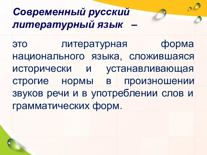 Современный русский литературный язык – это литературная форма национального языка, сложившаяся исторически и