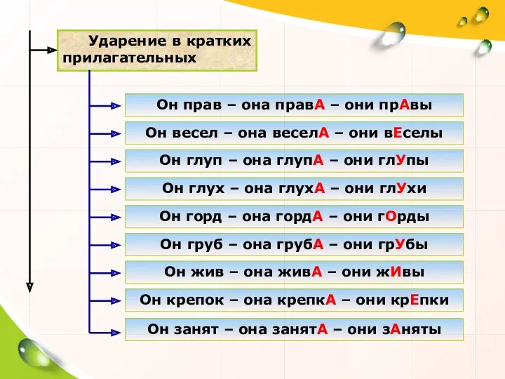 Ударение в кратких прилагательных Он прав – она правА – они прАвы Он