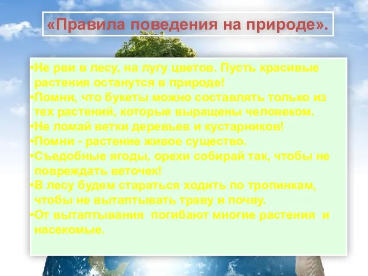 Не рви в лесу, на лугу цветов. Пусть красивые растения