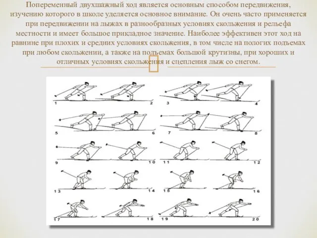 Попеременный двухшажный ход является основным способом передвижения, изучению которого в