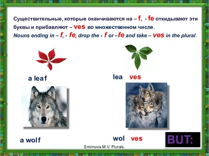 Cуществительныe, которые оканчиваются на – f, - fe откидывают эти