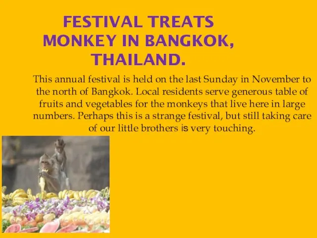 FESTIVAL TREATS MONKEY IN BANGKOK, THAILAND. This annual festival is